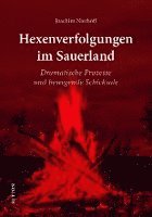 bokomslag Hexenverfolgungen im Sauerland