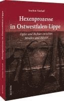 bokomslag Hexenprozesse in Ostwestfalen-Lippe