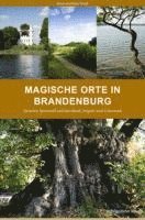bokomslag Magische Orte in Brandenburg