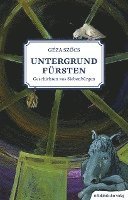 bokomslag Untergrundfürsten - Geschichten aus Siebenbürgen
