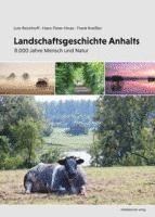 bokomslag Landschaftsgeschichte Anhalts