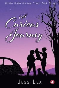 bokomslag Curious Journey