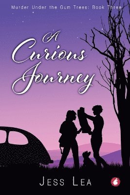 bokomslag Curious Journey