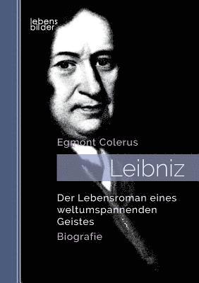 bokomslag Leibniz