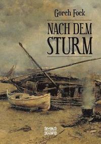 bokomslag Nach dem Sturm