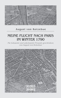 bokomslag Meine Flucht nach Paris im Winter 1790