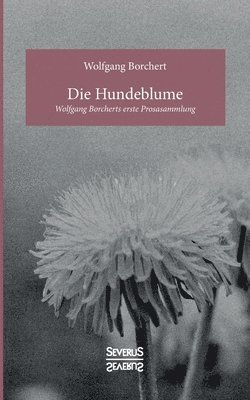 Hundeblume 1