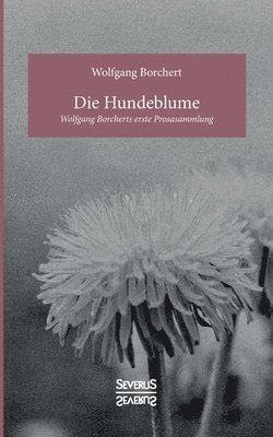 Die Hundeblume 1