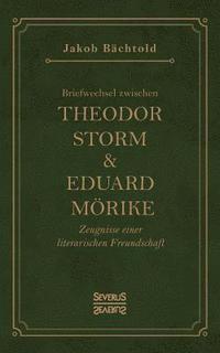 bokomslag Briefwechsel zwischen Theodor Storm und Eduard Moerike
