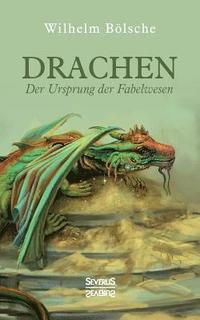 bokomslag Drachen - Der Ursprung der Fabelwesen