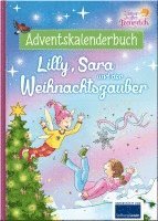 bokomslag Zauberhaftes Feenreich - Lilly, Sara und der Weihnachtszauber