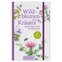 bokomslag Wildblumen und Kräuter entdecken und bestimmen