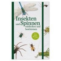 bokomslag Insekten und Spinnen entdecken und bestimmen