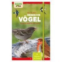 bokomslag Hörst du das? Heimische Vögel: Vogelarten entdecken und schützen