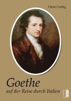 bokomslag Goethe auf der Reise durch Italien