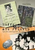 Hoffnung als Prinzip