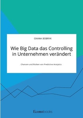 bokomslag Wie Big Data das Controlling in Unternehmen verandert. Chancen und Risiken von Predictive Analytics