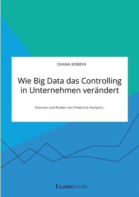 Oxana Bobryk - Wie Big Data das Controlling in Unternehmen verändert. Chancen und Risiken von Predictive Analytics, Häftad