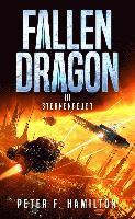 bokomslag Fallen Dragon 3