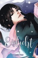 Eislicht 01 1