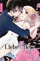 Chitose Kaido - Liebe & Herz 03, Häftad