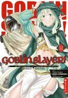 bokomslag Goblin Slayer! Light Novel 11