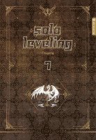 bokomslag Solo Leveling Roman 07