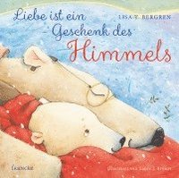 bokomslag Liebe ist ein Geschenk des Himmels