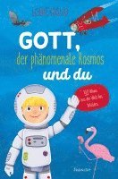 bokomslag Gott, der phänomenale Kosmos und du