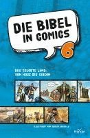 bokomslag Die Bibel in Comics 6