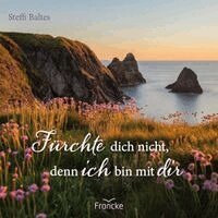 Steffi Baltes - Fürchte dich nicht, denn ich bin bei dir, Häftad