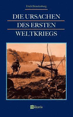 bokomslag Ursachen des Ersten Weltkriegs