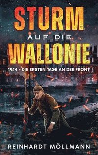 bokomslag Sturm auf die Wallonie