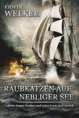 Raubkatzen auf nebliger See 1