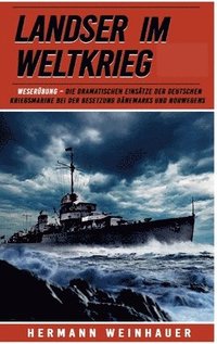 bokomslag Landser im Weltkrieg - Weserübung: Die dramatischen Einsätze der Deutschen Kriegsmarine bei der Besetzung Dänemarks und Norwegens