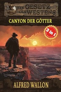 bokomslag 3 Western in 1