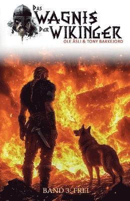 bokomslag Wagnis der Wikinger - Band 3