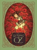 bokomslag Der Zauberer von Oz