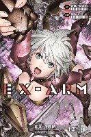 bokomslag EX-ARM 13