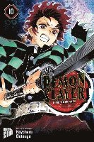 bokomslag Demon Slayer 10