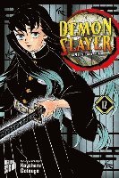 bokomslag Demon Slayer 12