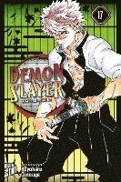 bokomslag Demon Slayer - Kimetsu no Yaiba 17