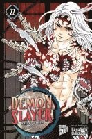 bokomslag Demon Slayer - Kimetsu no Yaiba 22