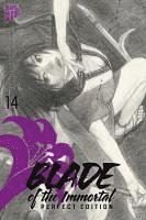 bokomslag Blade of the Immortal - Perfect Edition 14