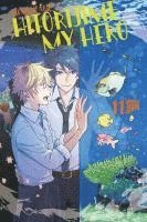 bokomslag Hitorijime my Hero 11