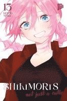 bokomslag Shikimori's not just a Cutie 13