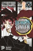 bokomslag Demon Slayer - Kimetsu no Yaiba 20 Limited Edition