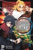 bokomslag Demon Slayer - Kimetsu no Yaiba: Wasser und Flammen