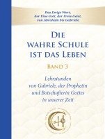 bokomslag Die wahre Schule ist das Leben - Band 3