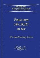 bokomslag Finde zum UR-LICHT in Dir